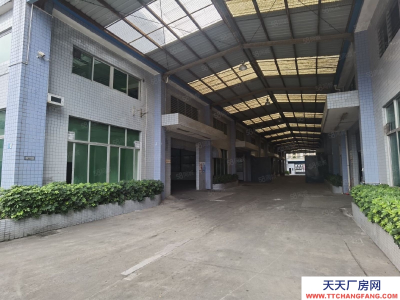 (出租) 東莞雁田8000平米9米高獨院倉庫出租可分租)廠房改造成物流倉儲