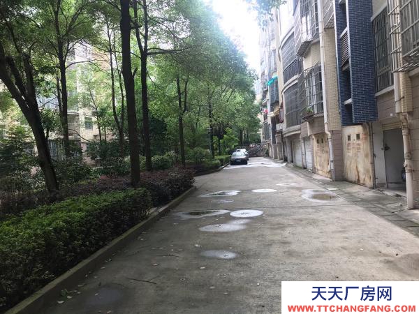 株洲市天元區(qū)珠江南路珠江麗園內(nèi)5棟下車庫(kù)出租