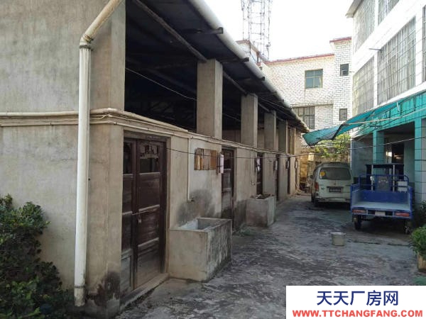 株洲市天元區(qū)河西工業(yè)大學(xué)附近 廠房 倉庫 空坪 出租