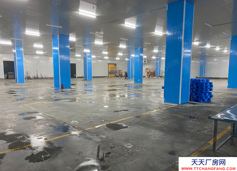 (出租) 東莞麻涌高標(biāo)冷倉(cāng)可長(zhǎng)租可短租