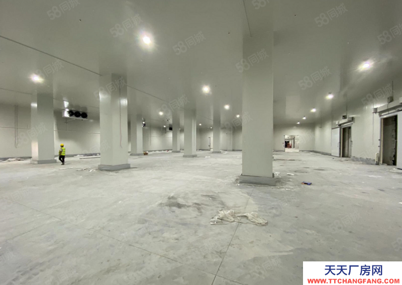 (出租) 東莞麻涌高標(biāo)冷倉(cāng)可長(zhǎng)租可短租