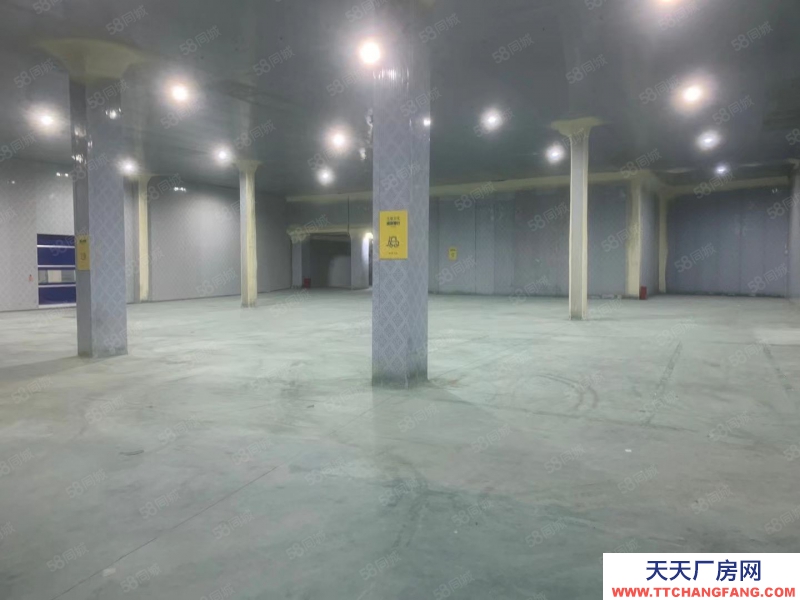 (出租) 東莞鳳崗雁田冷庫4000平方，大小可分租，靠近平湖零下18度