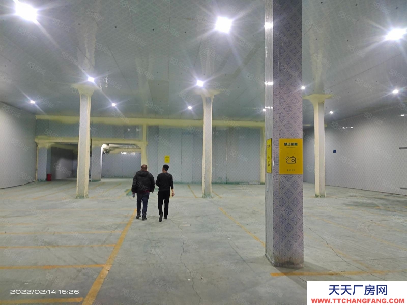 (出租) 東莞鳳崗雁田冷庫4000平方，大小可分租，靠近平湖零下18度
