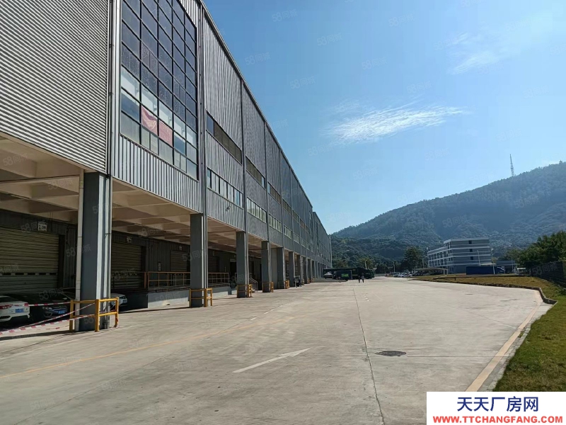 (出租) 東莞市區周邊高標倉庫2萬平,雙邊卸貨平臺。