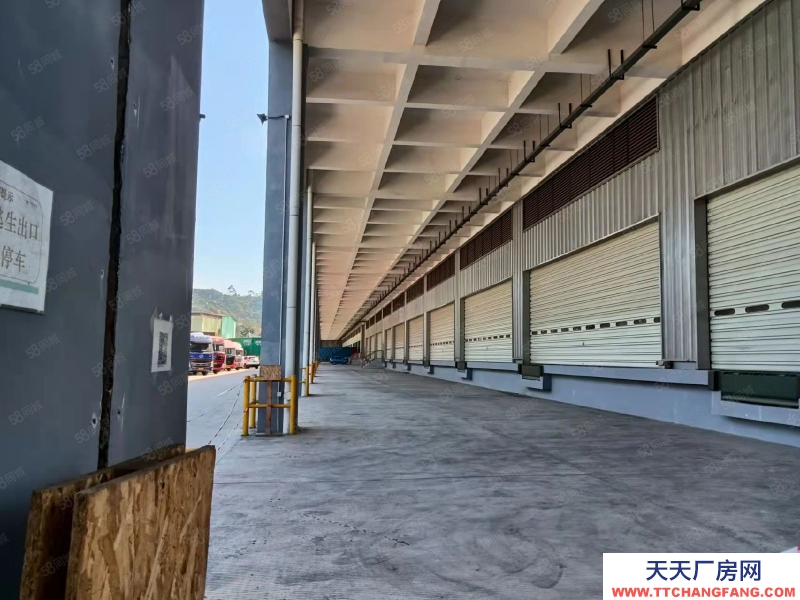 (出租) 東莞市區周邊高標倉庫2萬平,雙邊卸貨平臺。