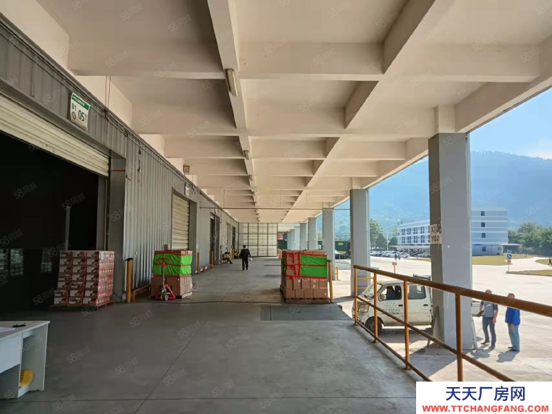 (出租) 東莞市區周邊高標倉庫2萬平,雙邊卸貨平臺。