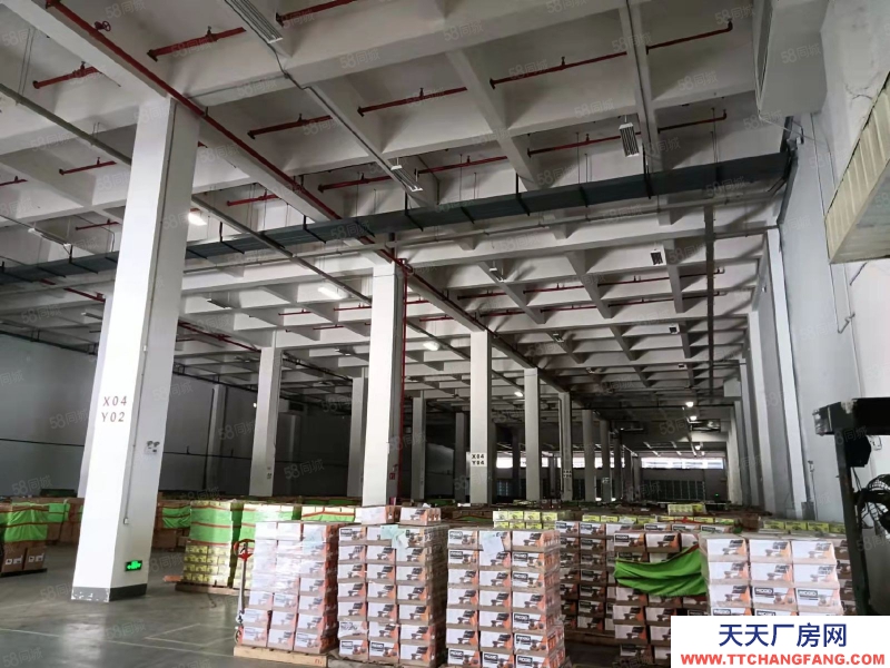 (出租) 東莞市區周邊高標倉庫2萬平,雙邊卸貨平臺。