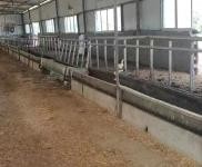 (出租) 廠地大，廠房多以前是養殖的，可辦養殖