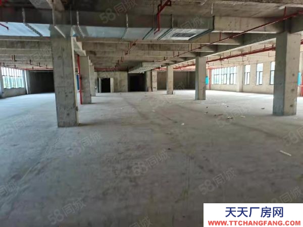 株洲市荷塘區大型工業園出租，免租一年不要錢