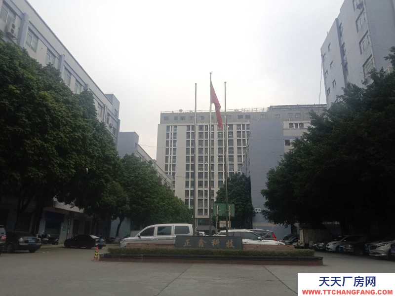 (出租) 南寧市西鄉(xiāng)塘區(qū)高新區(qū)國企正鑫科技園、和泰工業(yè)園、強源工業(yè)園、瑞熙工業(yè)園