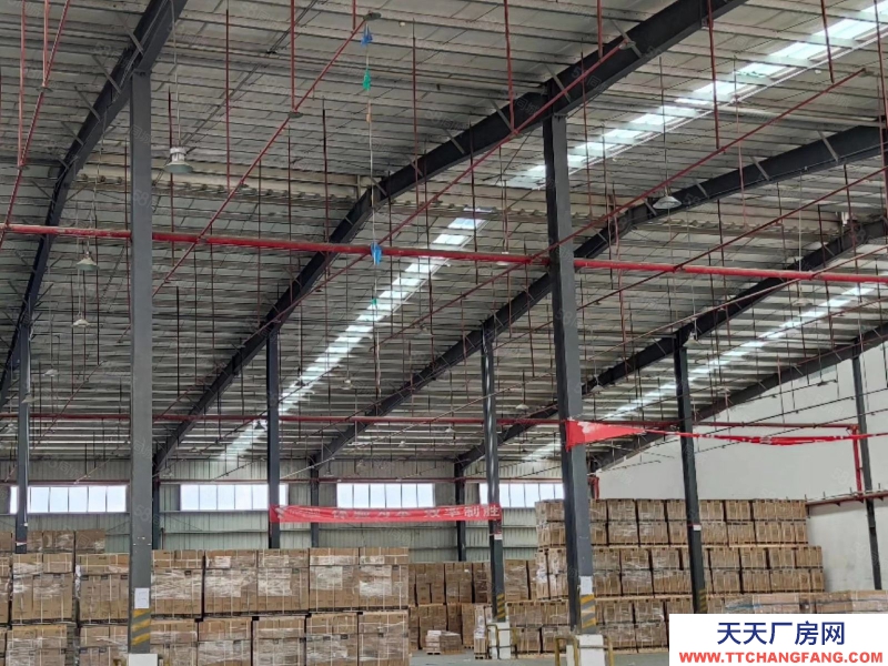 (出租) 東莞麻涌鎮京東倉庫亞一旁倉庫出租