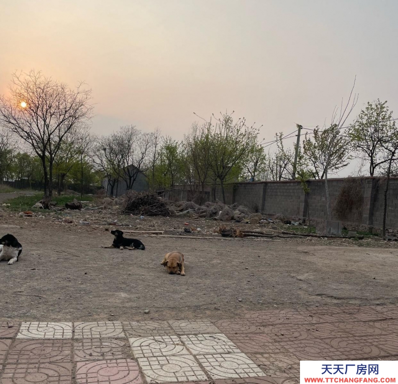 棗莊急售山亭區(qū)鳧城鎮(zhèn)20畝大院廠房