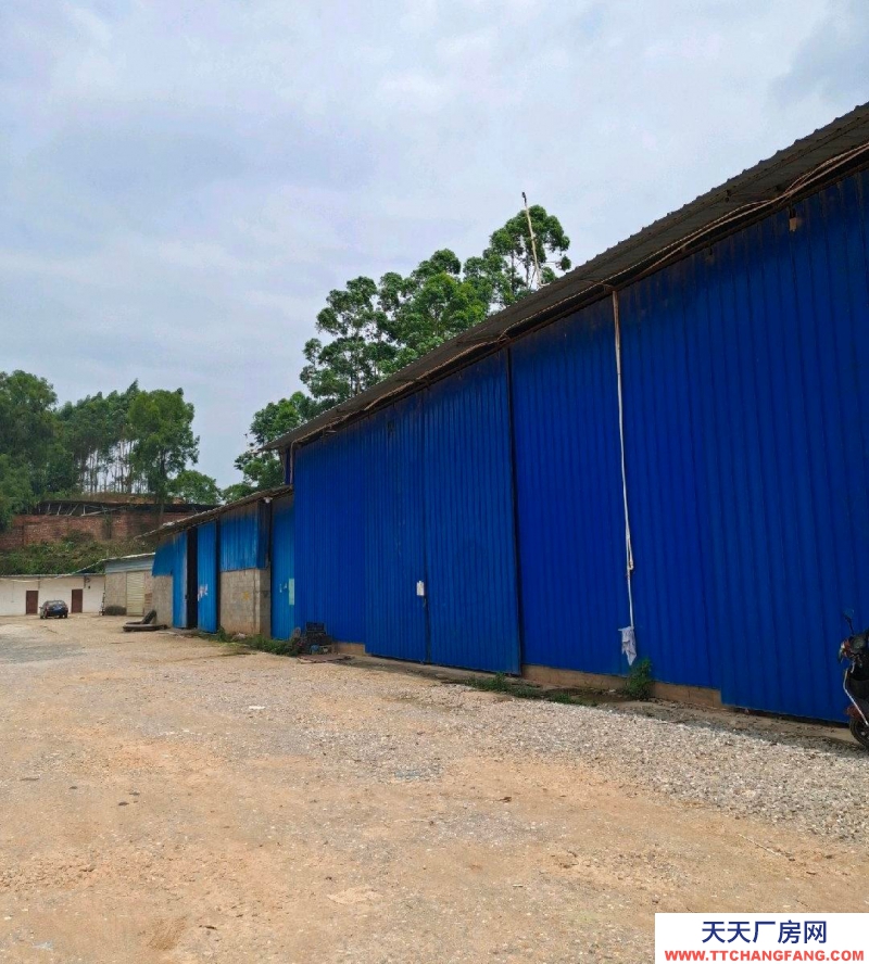 (出租) 南寧市西鄉塘區石埠，倉庫場地面積500-9000平米