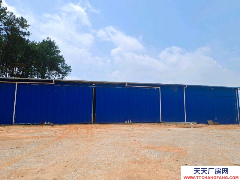 (出租) 南寧市西鄉塘區石埠，倉庫場地面積500-9000平米