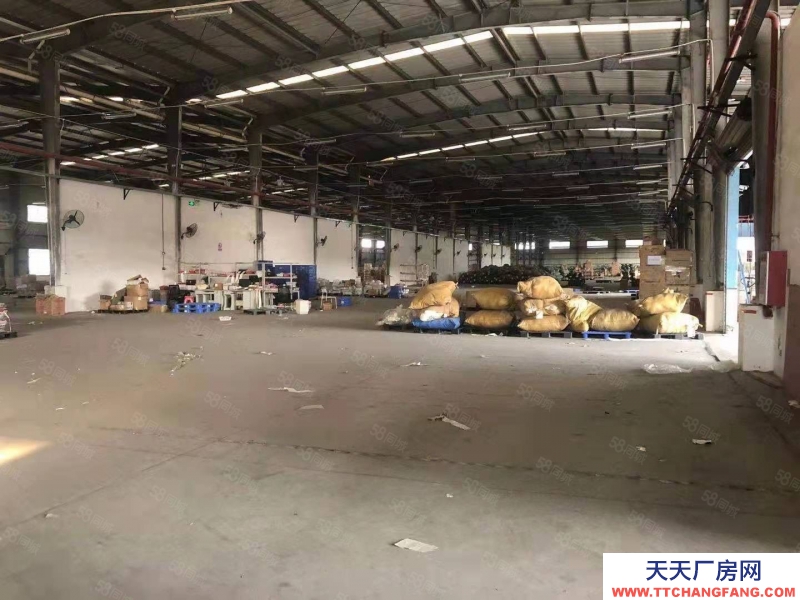 (出租) 東莞高埗鎮獨院單一層高臺物流倉22600平 帶卸貨平臺可分租