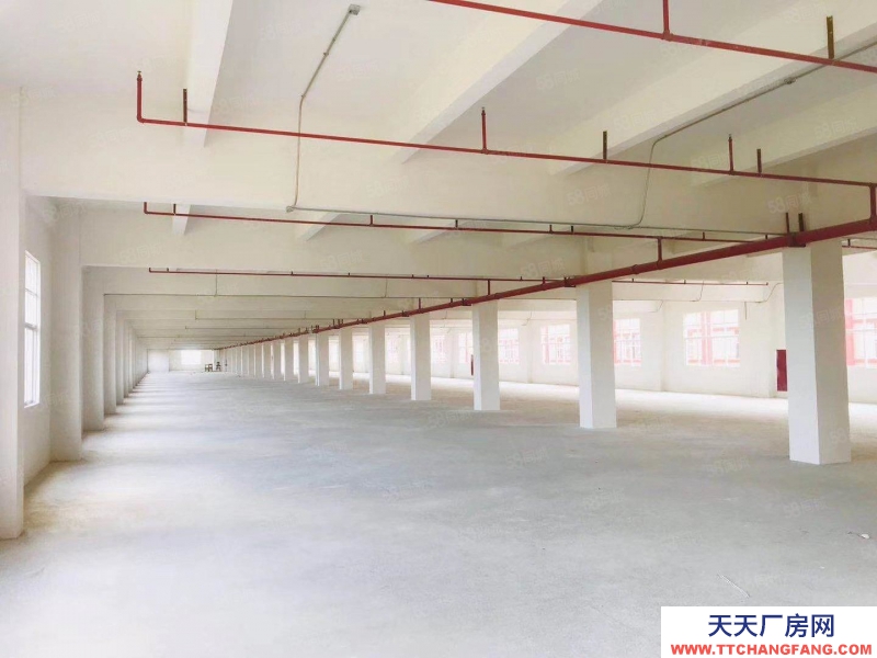 (出租) 東莞麻涌大型物流倉紅本證件齊全公寓宿舍大型中央廚房冷庫廠房低價租