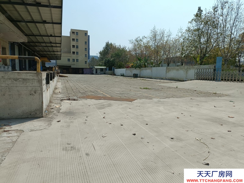 (出租) 東莞原房東高速路口港口麻涌新沙港附近倉庫低價廠房出租