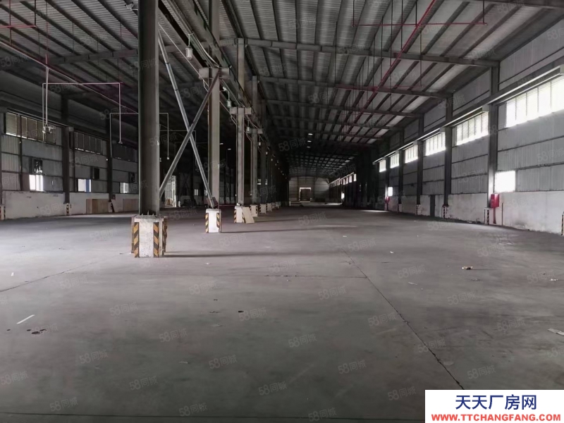 (出租) 東莞臨深鳳崗鎮8米帶牛角鋼結構獨院5000平方，1000平起分租