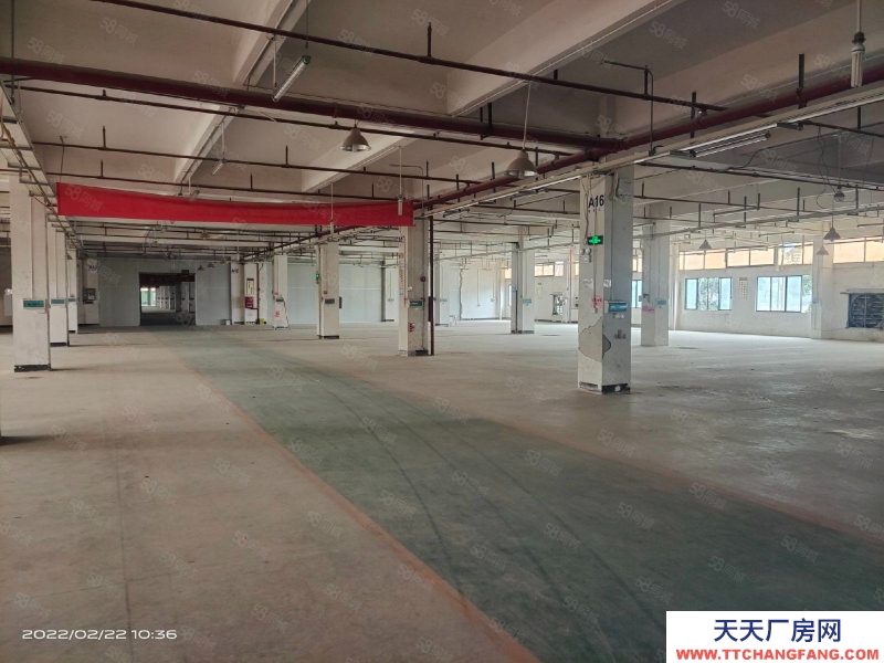 (出租) 東莞倉庫丙二類消防，帶卸貨平臺，5噸電梯大小分組靠高速口