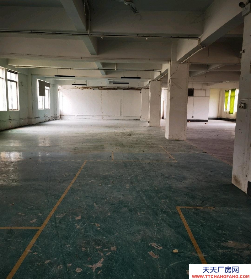 (出租) 南寧市西鄉塘區標準廠房，第三層，可做倉儲，層高4.3米，受力2噸，有貨梯，