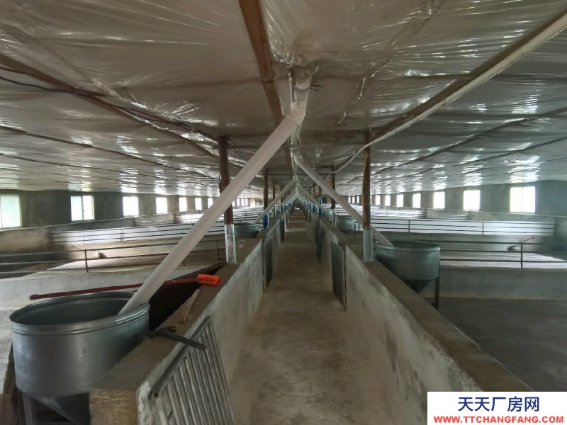 (出租) 南寧市西鄉(xiāng)塘西鄉(xiāng)塘周邊