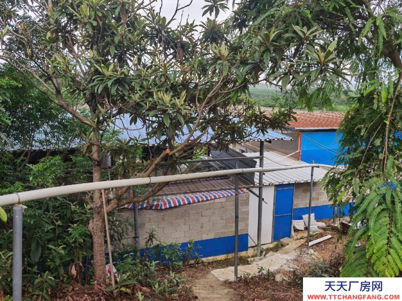 (出租) 南寧市西鄉(xiāng)塘西鄉(xiāng)塘周邊