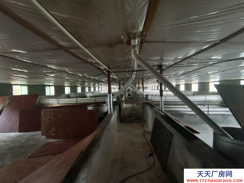 (出租) 南寧市西鄉(xiāng)塘西鄉(xiāng)塘周邊