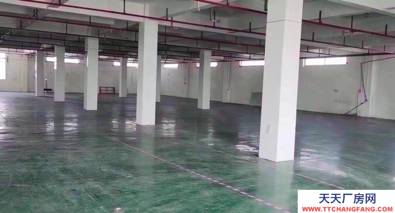 (出租) 廣州花都華嚴寺對面，隨時看，價格美麗，周邊配套完善