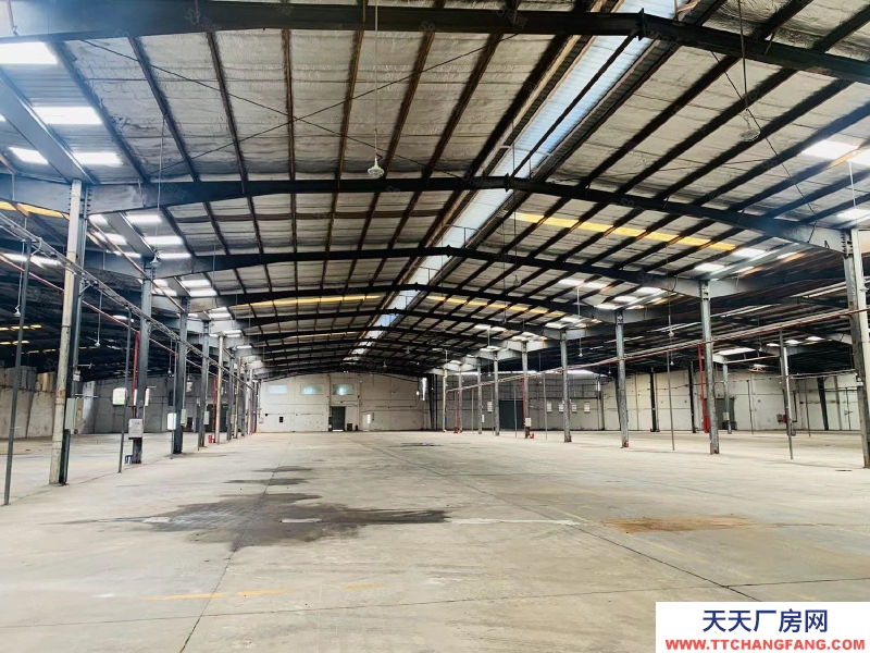 (出租) 廣州南沙大崗11米高鋼結構只要17元，證件齊全，環評秒過