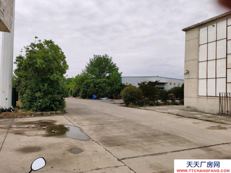 (出租) 蚌埠五河獨立廠房，環(huán)境優(yōu)，低價急租，水，電，路，三通