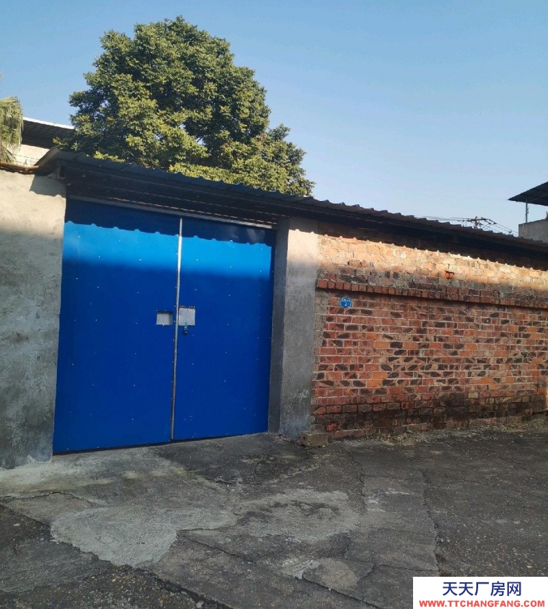 (出租) 南寧市西鄉塘區美麗南方附近，，交通方便，水電齊全