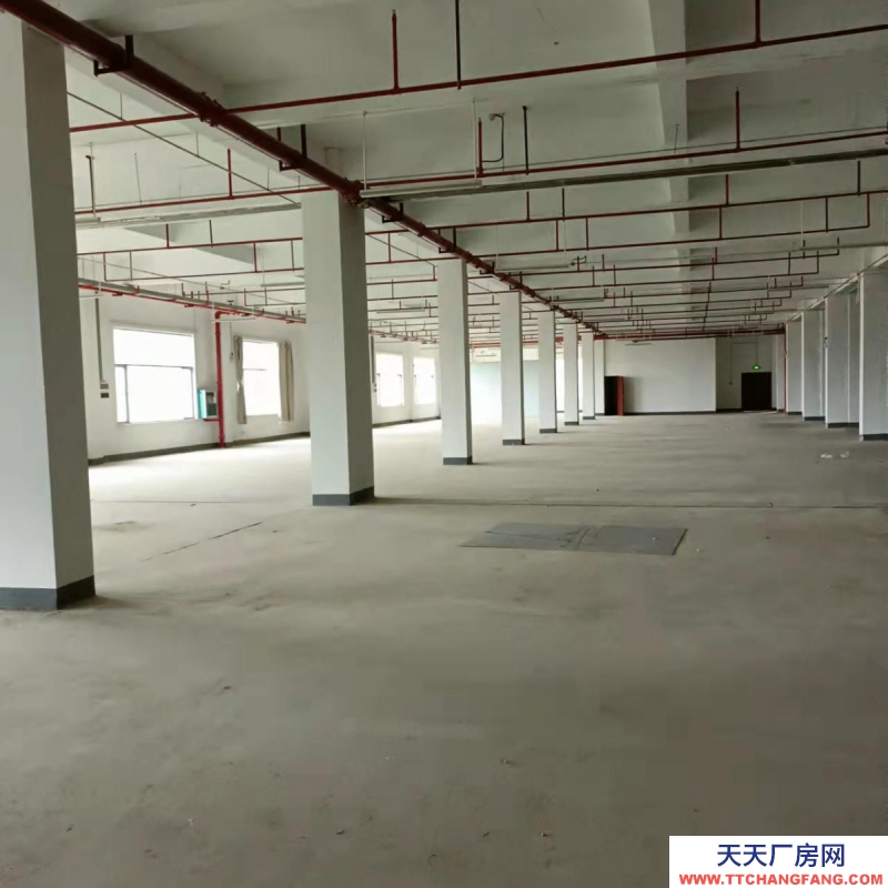 (出租)南寧市西鄉(xiāng)塘區(qū)高新區(qū)標(biāo)準(zhǔn)廠房、倉庫出租，大車出入方便，交通便利