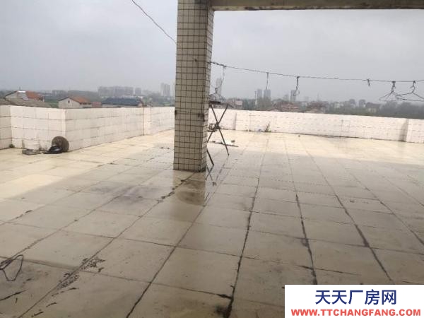 (出租) 荊州市公安縣.整幢招租，也可以分租