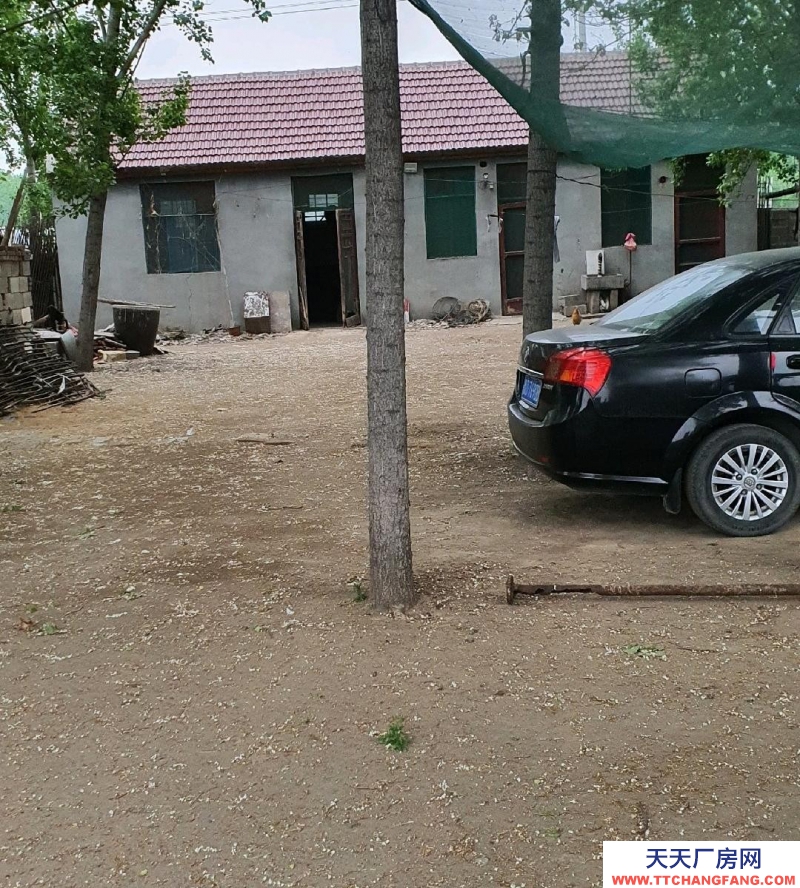 棗莊滕州吉廠出售，出租獨院，價格可議，房4間，吉棚4個。