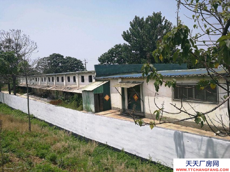 棗莊滕州上善公園 廠房 占地20畝，車間2000平。