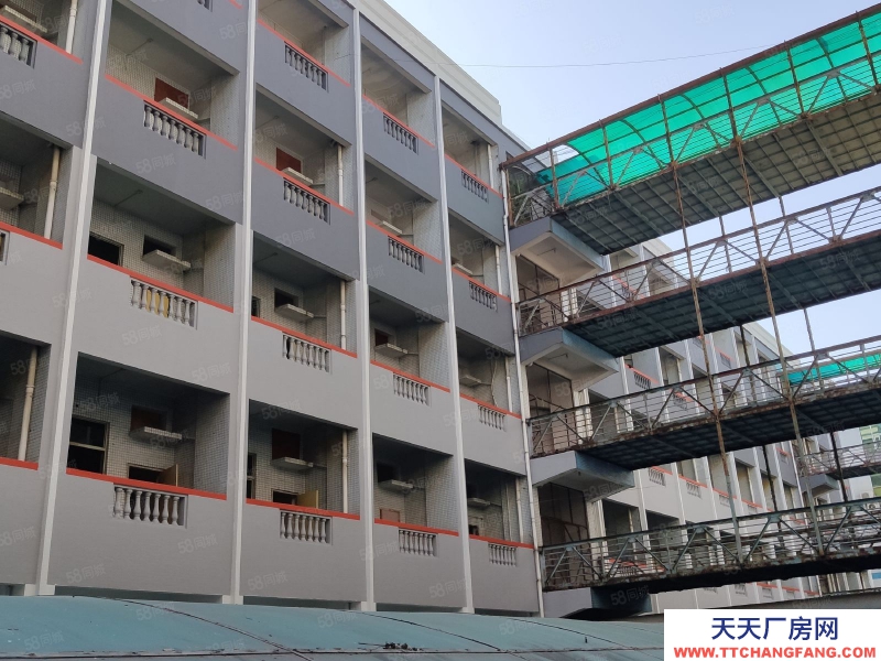 (出租) 業主急租！廣州荔灣區芳村旁1500方廠房可自由分割，紅本廠房