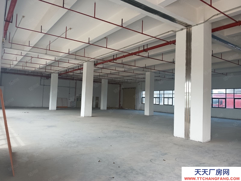 (出租) 廣州 南沙灣標(biāo)準(zhǔn)廠房8000方可分租，價(jià)格優(yōu)惠