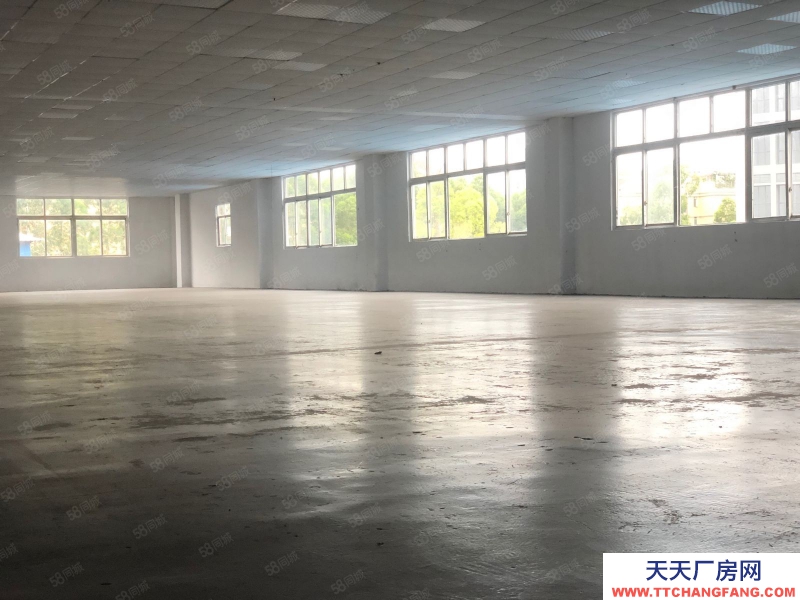 (出租) 廣州增城新塘鎮新出廠房9200方獨門獨院出租證件齊全大小可分