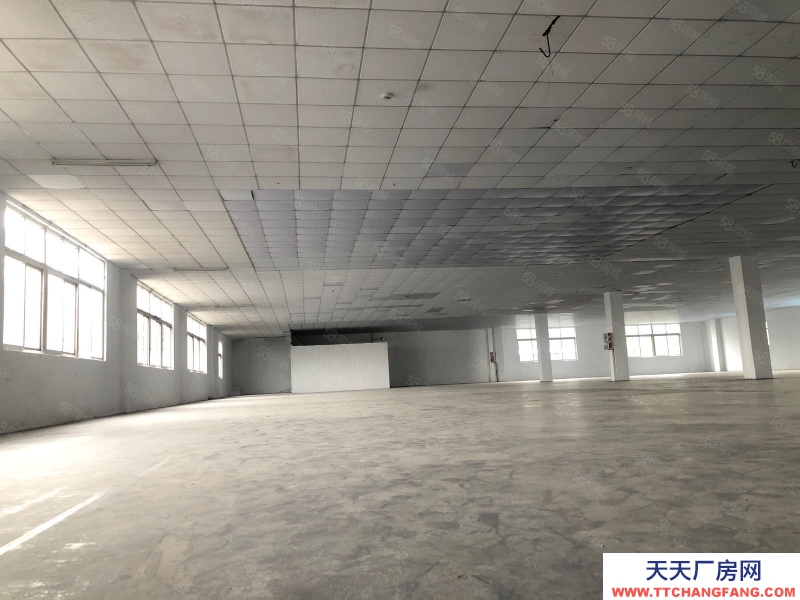 (出租) 廣州增城新塘鎮新出廠房9200方獨門獨院出租證件齊全大小可分