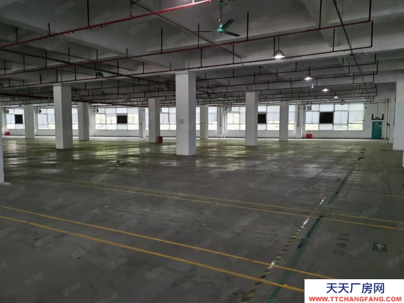 (出售) 業主急售廣州黃埔區個人業主園區工業廠房8000平獨棟出售或出讓