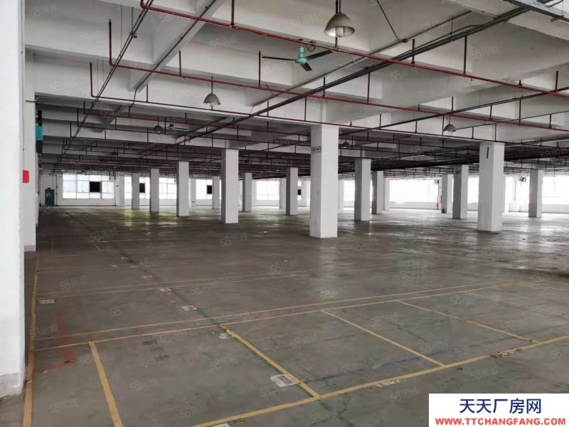 (出售) 業主急售廣州黃埔區個人業主園區工業廠房8000平獨棟出售或出讓
