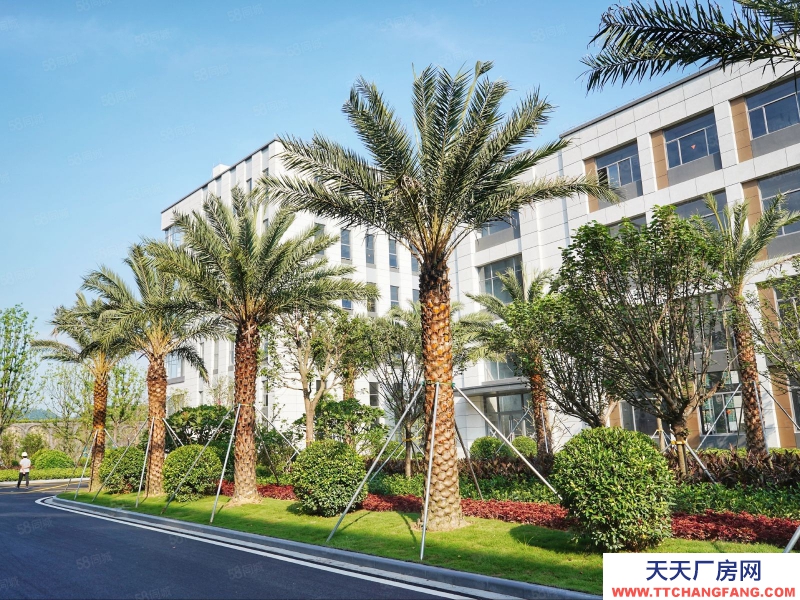 (出售) 廣州荔灣邊全新產權標準廠房出售！！