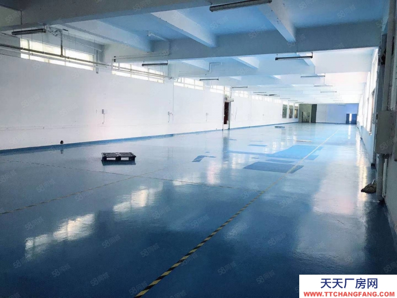 (出售) 廣州白云江高工業區獨院廠房8100平方出售