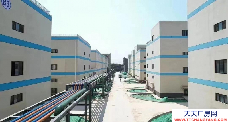 東營標準廠房出售，50年產(chǎn)權(quán)，單一層獨門獨院