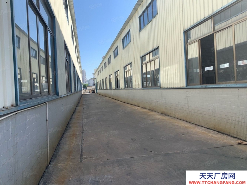 (出售) 廣州番禺獨院鋼構廠房11000平方 占地22畝 年限30年