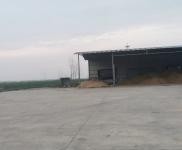 (出租) 荊州洪湖有干料棚2000平米，全部硬化場地。有獨立變壓器。