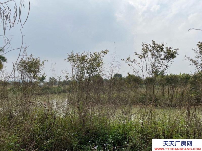 (出租)南寧市西鄉(xiāng)塘區(qū)美麗南方培訓(xùn)場地出租