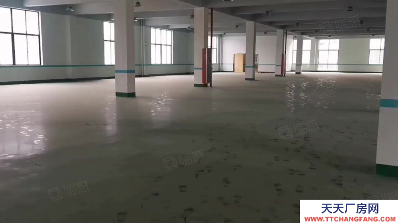 寧波江北(出租) 出租洪塘工業區1700平方，16元每平大車進出方便