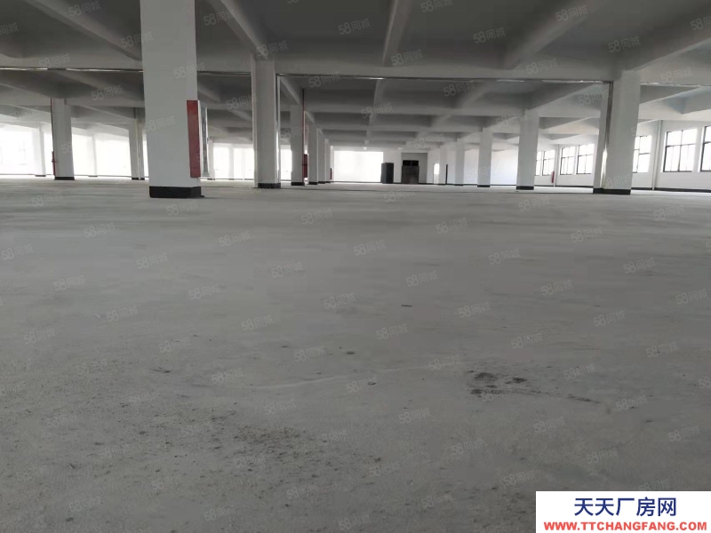 寧波江北(出租) 江北區(qū)金山路標(biāo)準(zhǔn)廠(chǎng)房出租