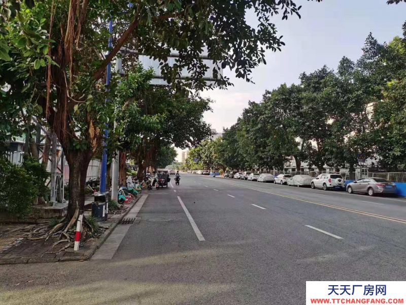 (出租)南寧市西鄉(xiāng)塘區(qū)西鄉(xiāng)塘高科路廠房、辦公室 出租